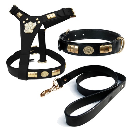 Dog leather harness - dog,