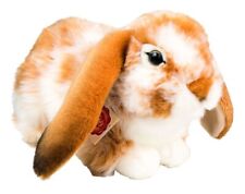 Lop Eared Brown & White Rabbit