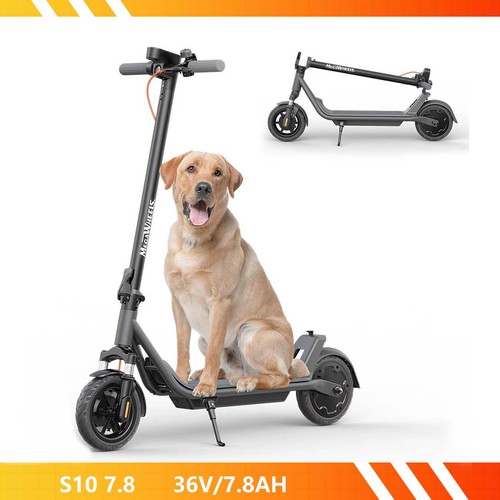 Adult electric scooter - electric,
