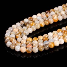 Coral fossil round - fossil, beads