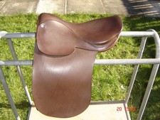 1st Ridden pony half panel