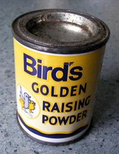 VINTAGE BIRD'S GOLDEN RAISING