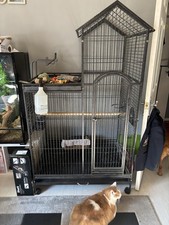 Large parrot cage - parrot,