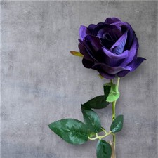 Single Velvet Rose –