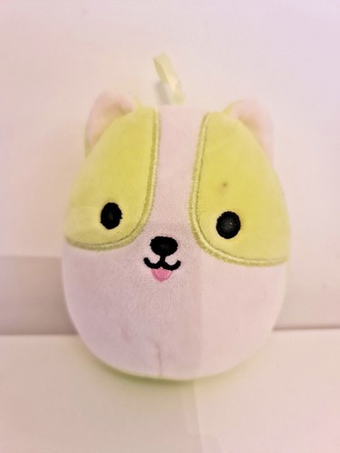 Squishmallows regina the corgi - squishmallows,