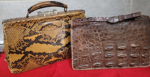 Vintage art deco crocodile - “vintage,