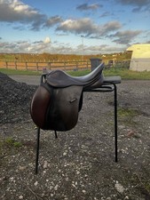 GFS Saddle brown