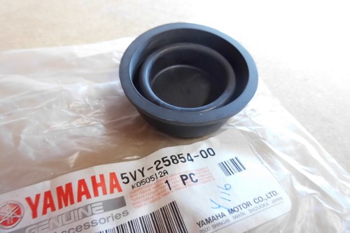 Yamaha fjr1300 mt01 - ,