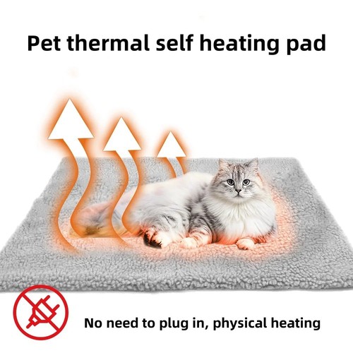 Self heating pet - heating, dog