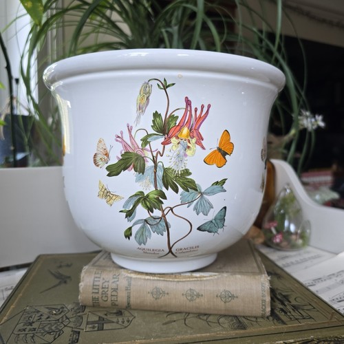 Vintage portmeirin botanical - portmeirin,