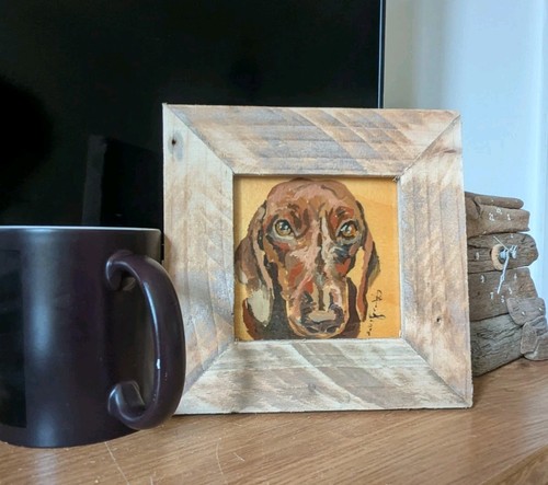 Dachshund dog portrait - dachshund, 4
