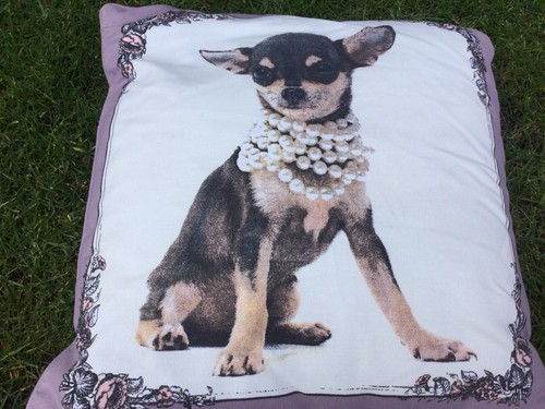 Primark cute chihuahua dog - primark,