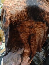 Nude Hairy Man Chest And Back