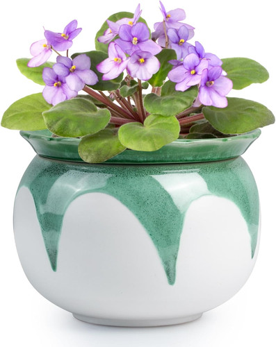 African violet pots inch - african,
