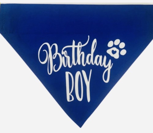 Dog bandana birthday - birthday, boy