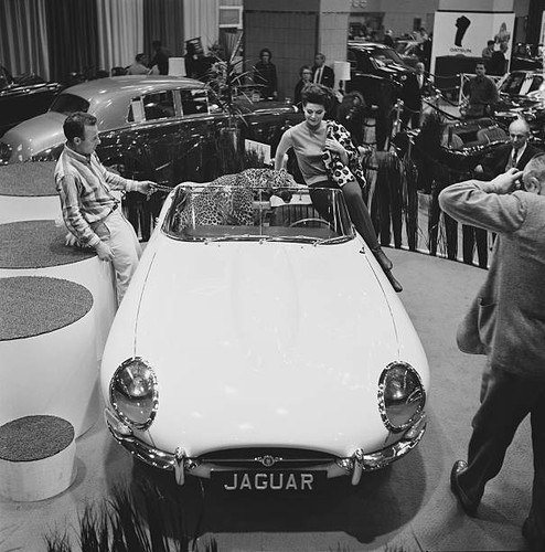 Type jaguar and an - an, actual