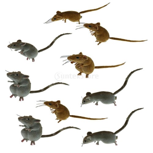 10pcs real looking mice rat - real,