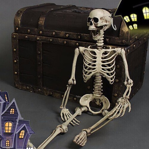 Poseable human skeleton prop - skeleton,