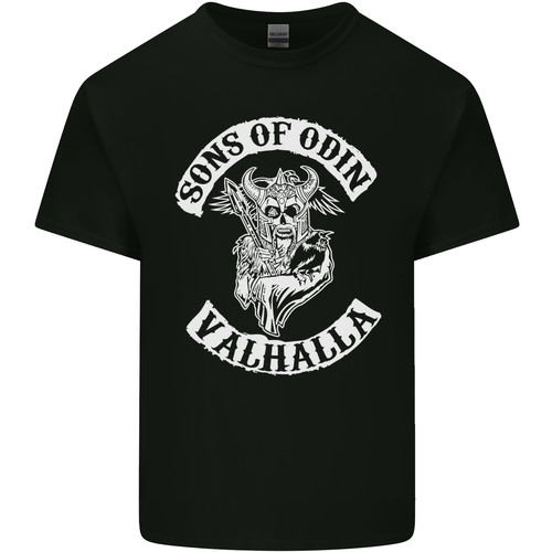 Son odin valhalla - odin, viking
