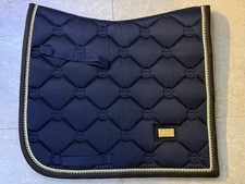 Eqestrian stockholm dressage