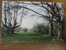 Chingford, Essex- posted 1905