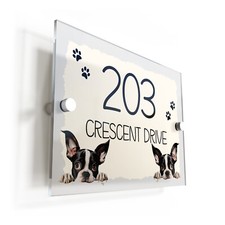 Boston Terrier Dog Puppy Cream