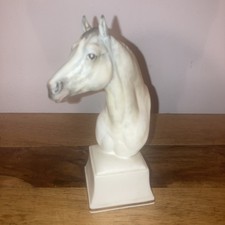 Royal Worcester Horse Study