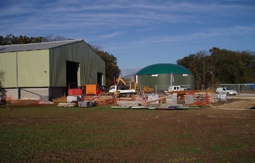 Photo 6x4 biodiesel plant - plant, wood