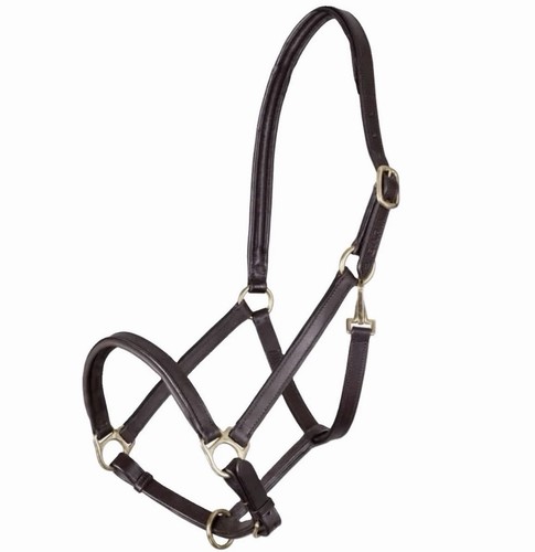 Shires velociti gara - velociti,