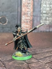 Elf Champion Black Guard Dark