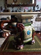 Indian Elephant Garden plant
