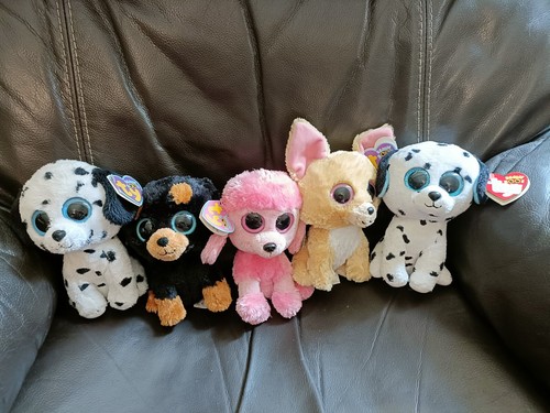 Tagged beanie boo - ty, dog