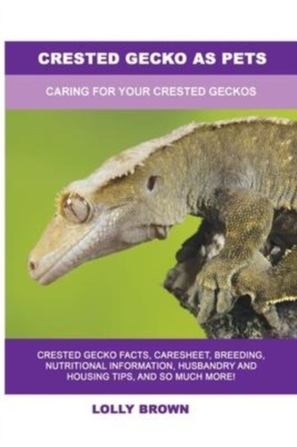 Crested gecko pets caring - pets:,