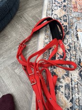 Cob Size Red Endurance Webbing