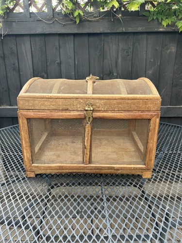 Vintage treasure chest cobra - vintage,
