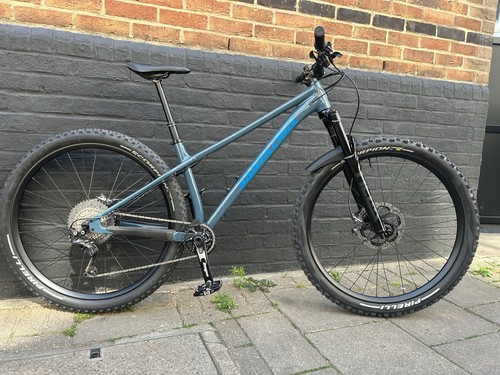 Santa cruz chameleon custom - cruz,