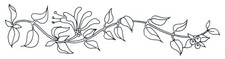 Embroidery transfer iron - transfer,