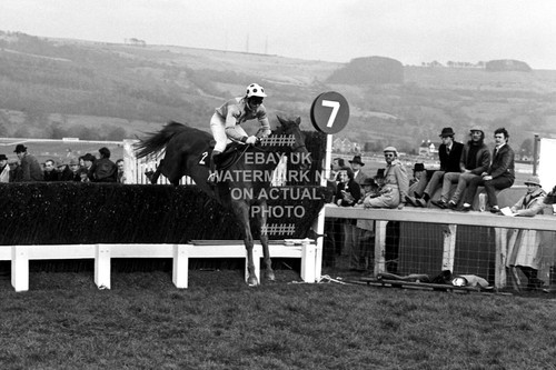 Bregawn graham bradley 1983 - graham,