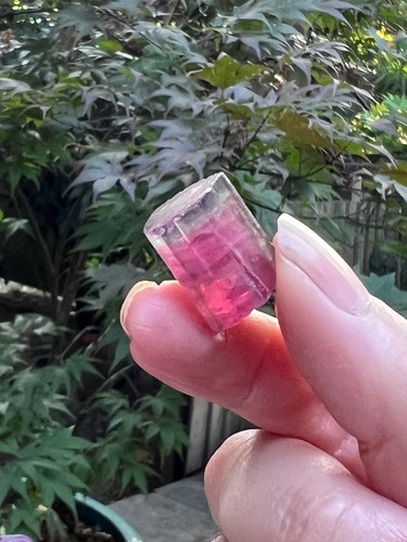 Watermelon tourmaline fine - tourmaline,