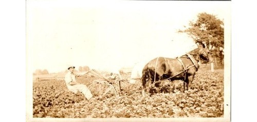 1910s horse drawn - 1910s, plow