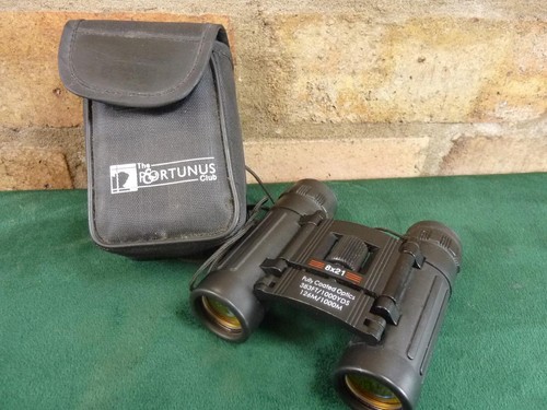 Nice compact binoculars 8x21 - ,