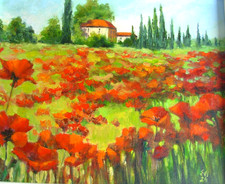 Poppies Original Oil Painting
