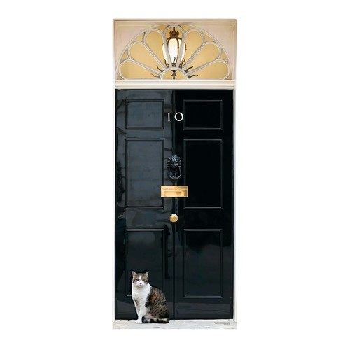 Larry the cat - cat, 10