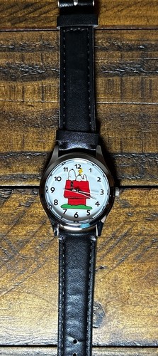 Snoopy dog house - on,
