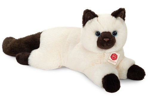 Birman cat teddy - birman, hermann