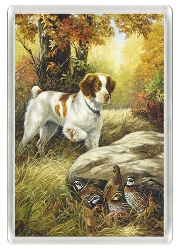 Brittany spaniel dog - brittany, fridge