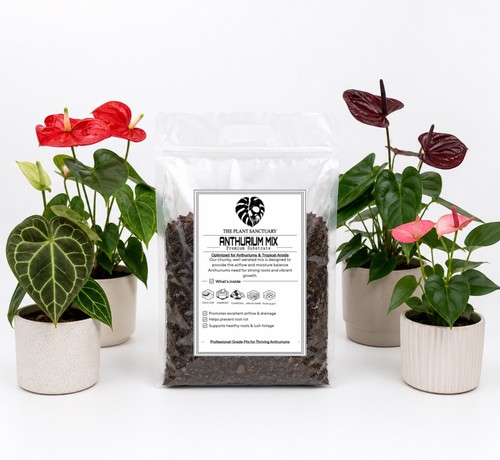 Bioactive anthurium soil - 5l,