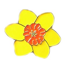 Daffodil in Yellow Flower