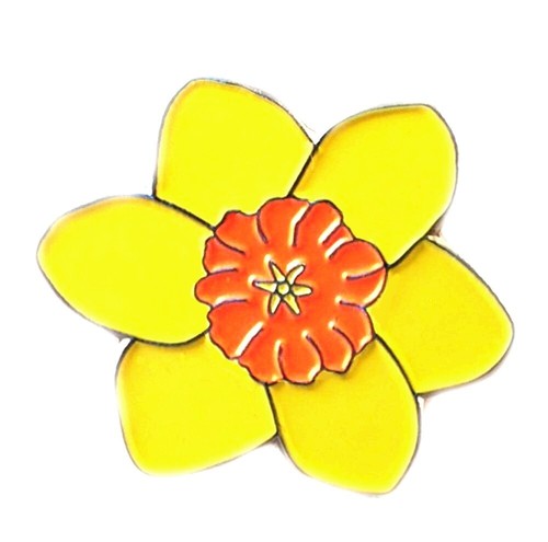 Daffodil yellow flower - in,
