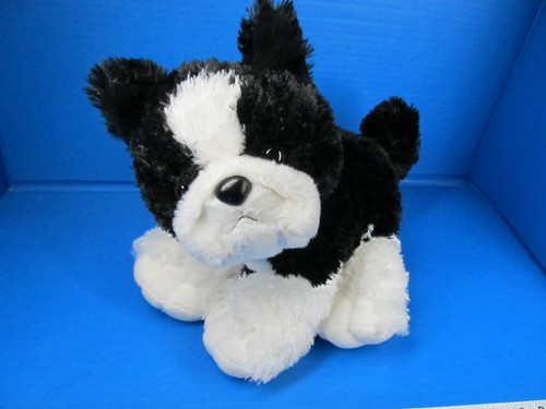 Aurora boston terrier - aurora,